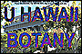 Hawaiian Native Plants